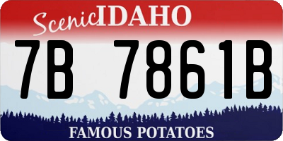 ID license plate 7B7861B