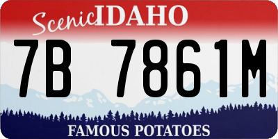 ID license plate 7B7861M