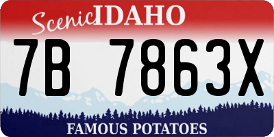 ID license plate 7B7863X