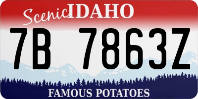 ID license plate 7B7863Z