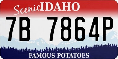 ID license plate 7B7864P