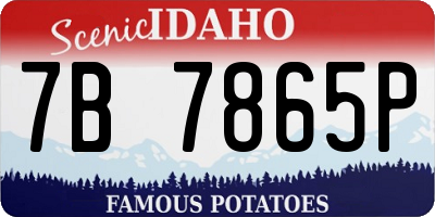 ID license plate 7B7865P