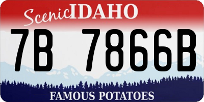 ID license plate 7B7866B