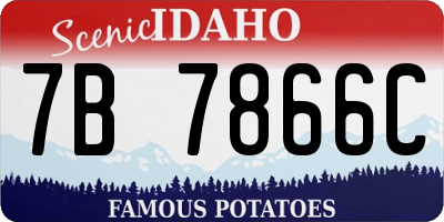 ID license plate 7B7866C