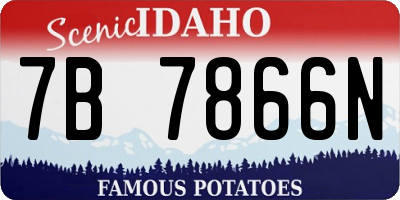 ID license plate 7B7866N