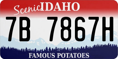 ID license plate 7B7867H
