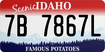 ID license plate 7B7867L
