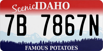 ID license plate 7B7867N