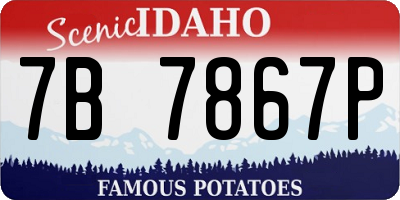 ID license plate 7B7867P