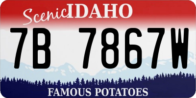 ID license plate 7B7867W