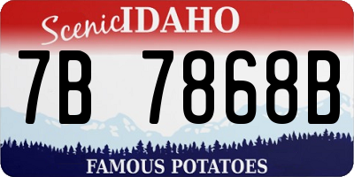 ID license plate 7B7868B