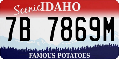 ID license plate 7B7869M