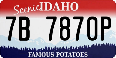 ID license plate 7B7870P