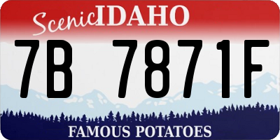 ID license plate 7B7871F
