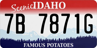 ID license plate 7B7871G