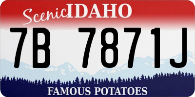 ID license plate 7B7871J
