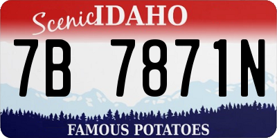 ID license plate 7B7871N