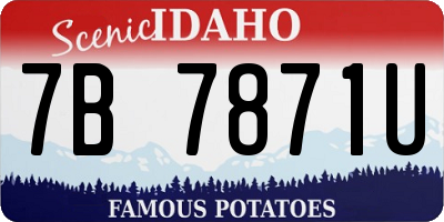 ID license plate 7B7871U