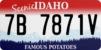 ID license plate 7B7871V