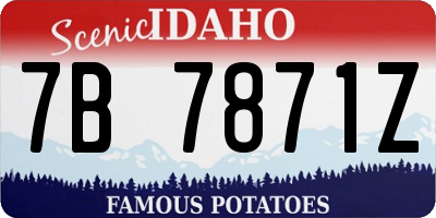 ID license plate 7B7871Z