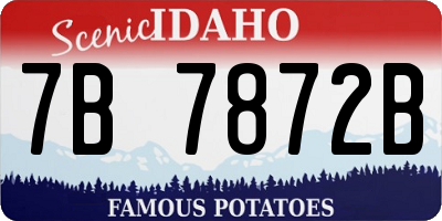 ID license plate 7B7872B