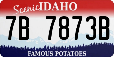 ID license plate 7B7873B