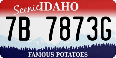ID license plate 7B7873G
