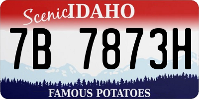 ID license plate 7B7873H
