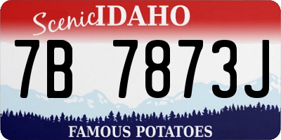 ID license plate 7B7873J