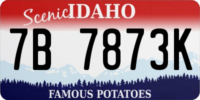 ID license plate 7B7873K