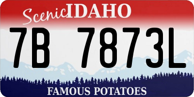 ID license plate 7B7873L