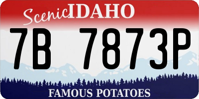 ID license plate 7B7873P