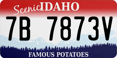 ID license plate 7B7873V