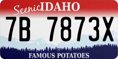 ID license plate 7B7873X
