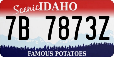 ID license plate 7B7873Z