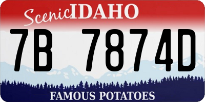ID license plate 7B7874D