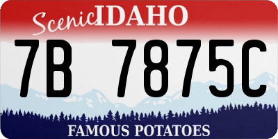 ID license plate 7B7875C