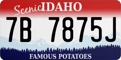 ID license plate 7B7875J