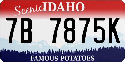 ID license plate 7B7875K