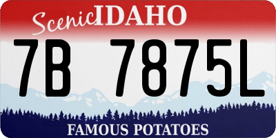 ID license plate 7B7875L