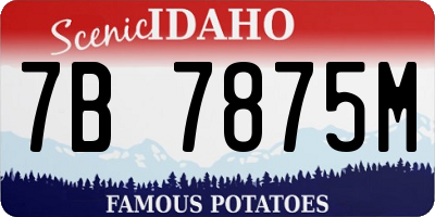 ID license plate 7B7875M