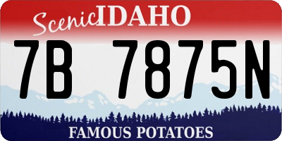 ID license plate 7B7875N