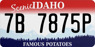 ID license plate 7B7875P