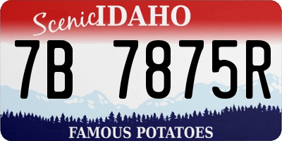 ID license plate 7B7875R