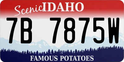 ID license plate 7B7875W