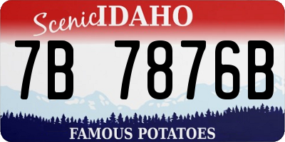 ID license plate 7B7876B