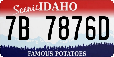 ID license plate 7B7876D