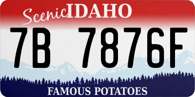 ID license plate 7B7876F