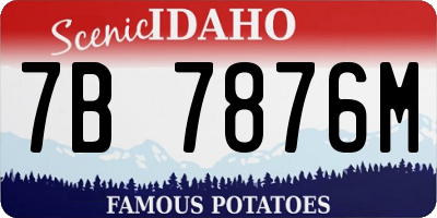 ID license plate 7B7876M