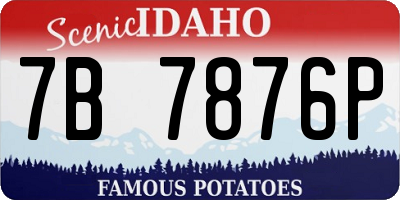 ID license plate 7B7876P